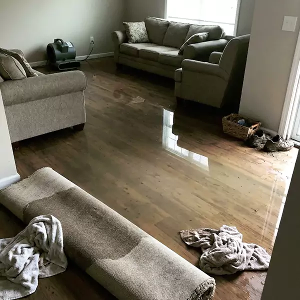 Flood Restoration in Santa Barbara, CA