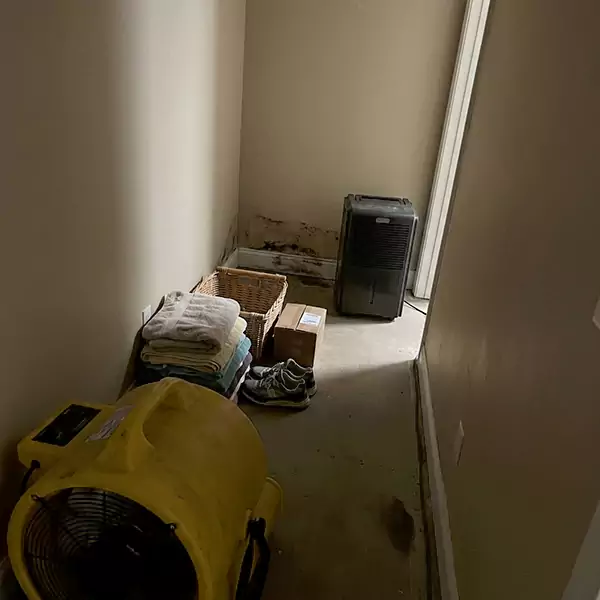 Expert Water Remediation in Santa Barbara, CA 