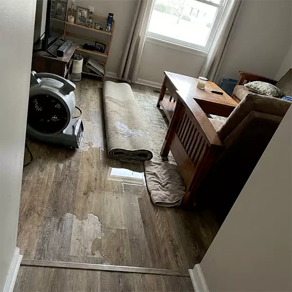 Water Restoration in Santa Barbara, CA