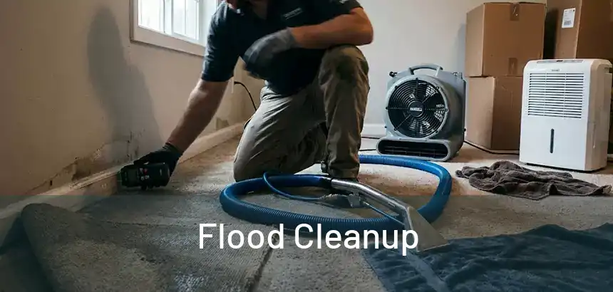  Flood Cleanup 