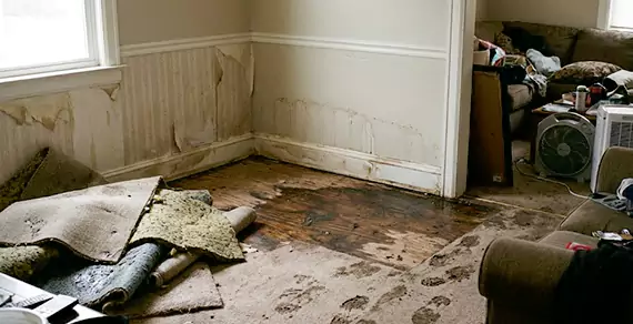 Why Choose Santa Barbara Water Restoration For Water Damage Restoration Services in Santa Barbara, CA?
