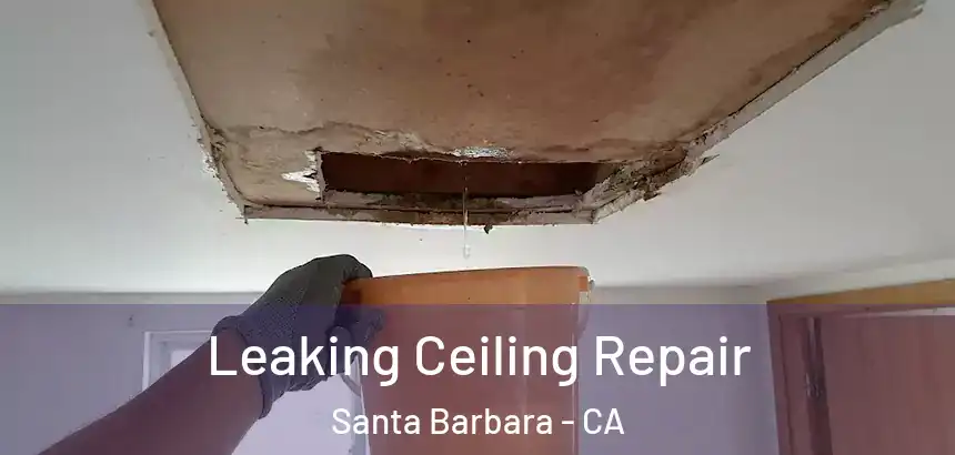  Leaking Ceiling Repair Santa Barbara - CA