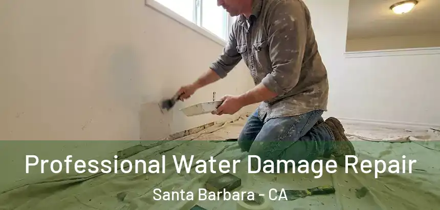  Professional Water Damage Repair Santa Barbara - CA