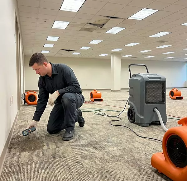 Why Businesses Choose Santa Barbara Water Restoration for Commercial Water Damage in Santa Barbara, CA?