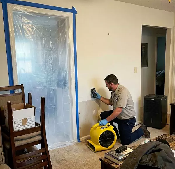 Why Homeowners & Businesses Choose Santa Barbara Water Restoration for Water Remediation in Santa Barbara, CA?